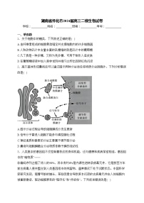 湖南省怀化市2024届高三二模生物试卷(含答案)