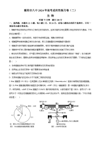 2024衡阳八中高三下学期适应性练习卷生物含解析