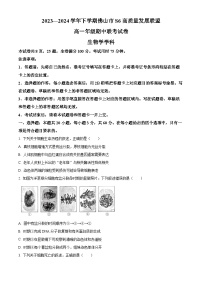 广东省佛山市S6高质量发展联盟2023-2024学年高一下学期期中联考生物试题（原卷版+解析版）