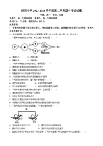 广东省深圳市罗湖区深圳中学2023-2024学年高一下学期4月期中生物试题