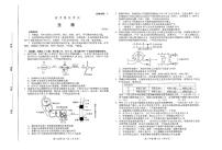 2024届山东省潍坊市高三下学期二模生物试卷