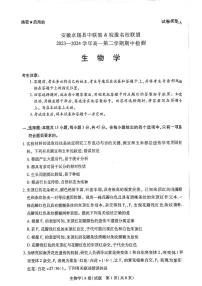 2024安徽卓越县中联盟皖豫名校联盟高一下学期4月期中考试生物PDF版含解析