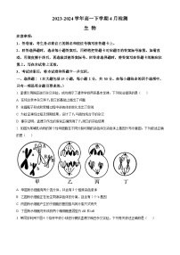 2024许昌高级中学高一下学期4月月考试题生物含解析