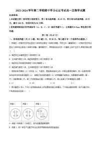 山东省淄博市高青县2023-2024学年高一下学期期中考试生物试题（原卷版+解析版）