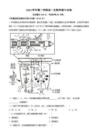 上海市第四中学2023-2024学年高一下学期4月期中生物试题（原卷版+解析版）