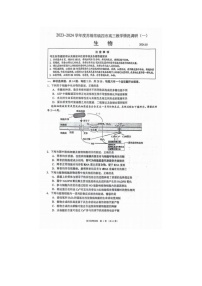 2024届江苏省苏锡常镇四市高三一模生物试题