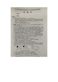 2024届湖南省永州市高三第二次模拟考试生物试题