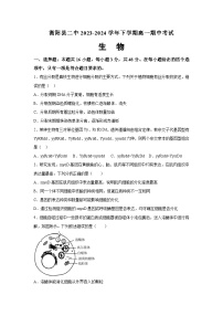 湖南省衡阳市衡阳县第二中学2023-2024学年高一下学期4月期中生物试题