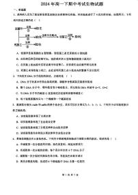 天津市河东区2023-2024学年高一下学期期中生物试卷