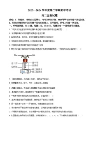 江苏省徐州市沛县2023-2024学年高二下学期4月期中生物试题（原卷版+解析版）