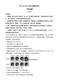 2024届山东省济宁市高三下学期4月二模生物试题 （原卷版+解析版）