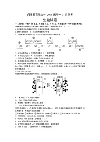 湖北省武汉市问津教育联合体2023—2024学年高一下学期5月月考生物试题