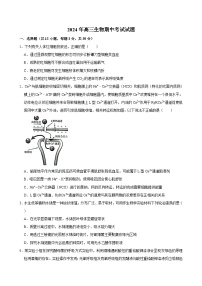 湖南省岳阳市岳阳县第一中学2023-2024学年高三下学期4月期中生物试题