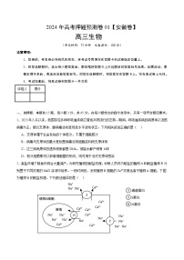 2024年高考押题预测卷—生物（安徽卷01）（考试版）