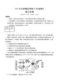 2024年高考押题预测卷—生物（安徽卷02）（考试版）