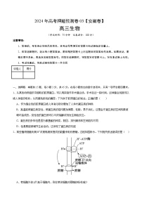 2024年高考押题预测卷—生物（安徽卷03）（考试版）