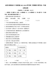 安徽省合肥市六校联盟2023—2024学年高一下学期期中考试生物试题（原卷版+解析版）