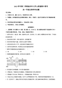 浙江省环大罗山联盟2023-2024学年高一下学期4月期中生物试题（原卷版+解析版）