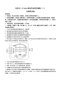 湖南省长沙市第一中学2024届高三下学期二模生物试卷（Word版附解析）