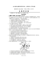 2023届湖北省襄阳市第四中学高一上学期生物1月月考试题