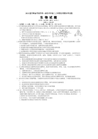 2023届河南省项城市第一高级中学高二上学期生物期末考试题