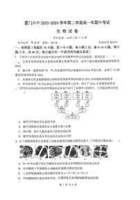 福建省厦门市思明区第六中学2023-2024学年高一下学期5月期中生物试题