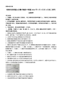 2024安徽省皖豫名校联盟卓越县中联盟高三下学期5月三模试题生物含解析