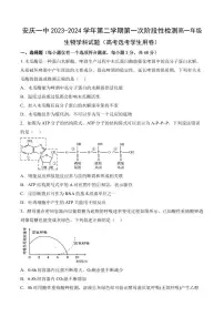 安徽省安庆市第一中学2023-2024学年高一下学期期中考试生物试卷（PDF版附答案）