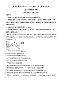 重庆市朝阳中学2023-2024学年高一下学期期中考试生物试题（原卷版+解析版）