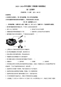 江苏省泰州市泰兴市2023-2024学年高二下学期期中考试生物试题（原卷版+解析版）