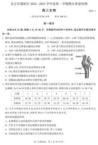 2023北京市朝阳区高三上学期期末生物试卷