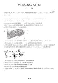 2022北京市东城区高三上学期期末生物试卷及答案