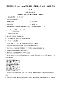 广东省普宁市普师高级中学2023-2024学年高一下学期期中考试生物试题（原卷版+解析版）