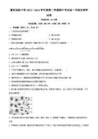 广东省普宁市普师高级中学2023-2024学年高一下学期期中考试生物试题（原卷版+解析版）