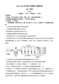 江苏省扬州市宝应县2023-2024学年高二下学期期中检测生物试题（原卷版+解析版）