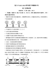 云南省昆明市五华区昆明市第八中学2023-2024学年高二下学期期中考试生物试卷（原卷版+解析版）