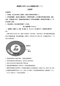 2024届湖南省师范大学附属中学高三下学期模拟考试（二）生物试题（原卷版+解析版）