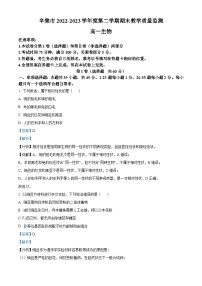 河北省石家庄市辛集市2022-2023学年高一下学期期末生物试题（Word版附解析）