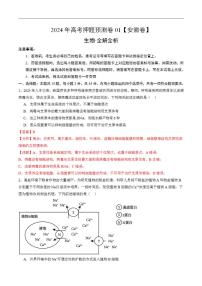 2024年高考押题预测卷—生物（安徽卷01）（解析版）