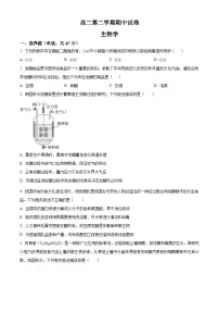 北京市清华附中2023-2024学年高二下学期期中生物试题（原卷版+解析版）