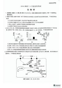 2024届湖南天壹名校联盟高三下学期适应性考试生物试卷