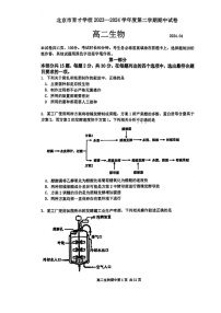 2024北京育才学校高二下学期期中生物试卷