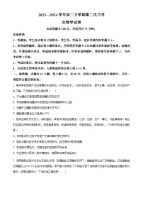 河南省金太阳2023-2024学年高二下学期4月第二次月考生物试题（原卷版+解析版）