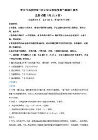 重庆市名校联盟2023-2024学年高一下学期中考试生物试题（Word版附解析）