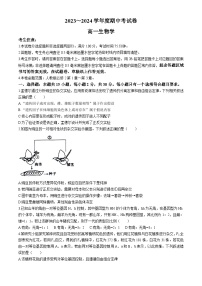 黑龙江省黑河市逊克县第一中学校2023-2024学年高一下学期期中生物试卷