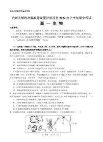 贵州省卓越联盟2023-2024学年高一下学期期中考试生物试题