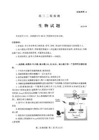 山东省泰安市2024届高三下学期二模生物试题（PDF版附答案）