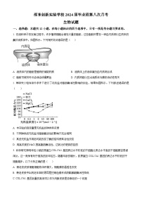 湖南省邵阳市邵东市创新高级中学2023-2024学年高三下学期第八次月考生物试题（原卷版+解析版）