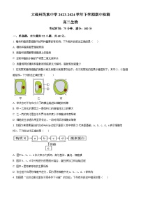 云南省大理白族自治州民族中学2023-2024学年高二下学期5月期中生物试题（原卷版+解析版）