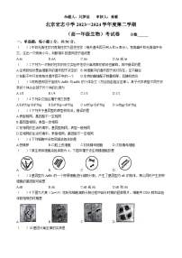 北京宏志中学2023-2024学年高一下学期期中考试生物试题(无答案)